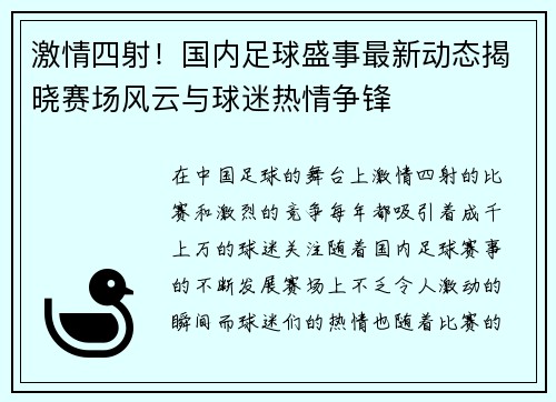 激情四射！国内足球盛事最新动态揭晓赛场风云与球迷热情争锋